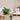 Tendencias de interiorismo que seguirán vigentes en 2026