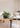 Tendencias de interiorismo que seguirán vigentes en 2026